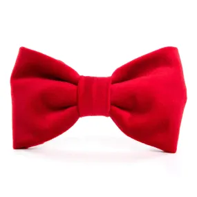 Cranberry Velvet Dog Bow Tie